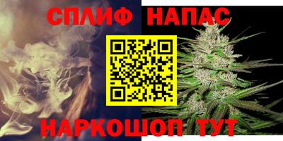 амф Гусь-Хрустальный