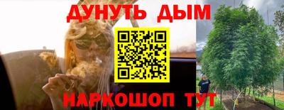амф Гусь-Хрустальный