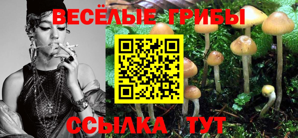 Галлюциногенные грибы Psilocybe Мариинск