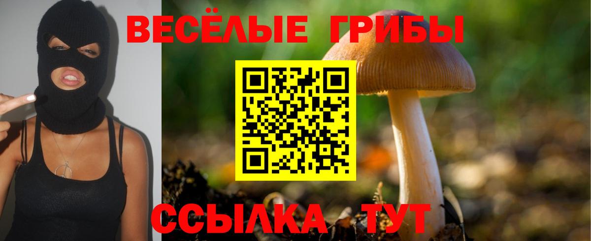 Мариинск  наркотики  Вход с VPN  Галлюциногенные грибы Psilocybe 